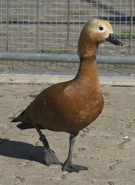 契合