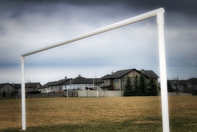 不服输是我 不服输是我