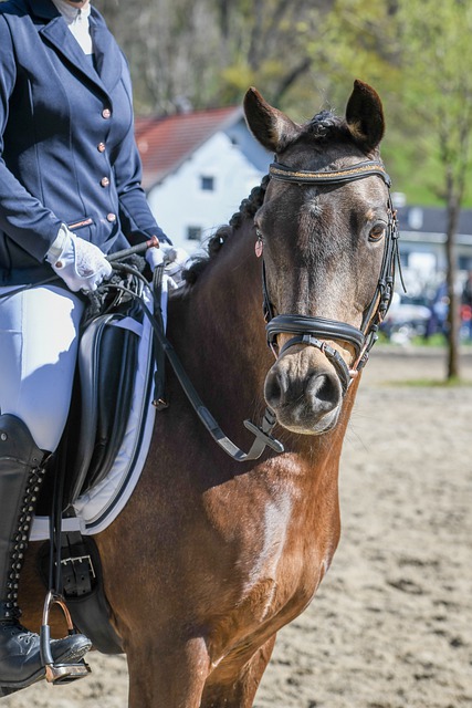 将到来的比 将到来的比