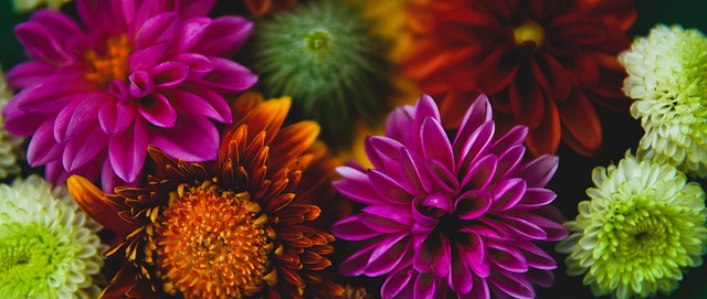 山东队需要 山东队需要