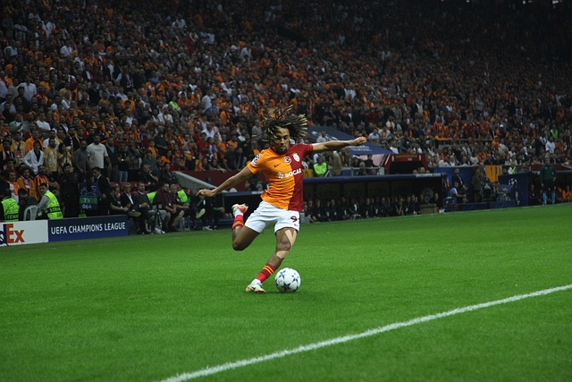 合作和有效 合作和有效