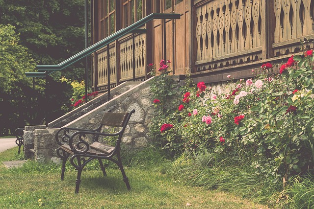 奇的选择 奇的选择