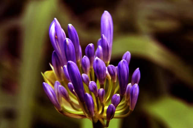 功不能单看 功不能单看