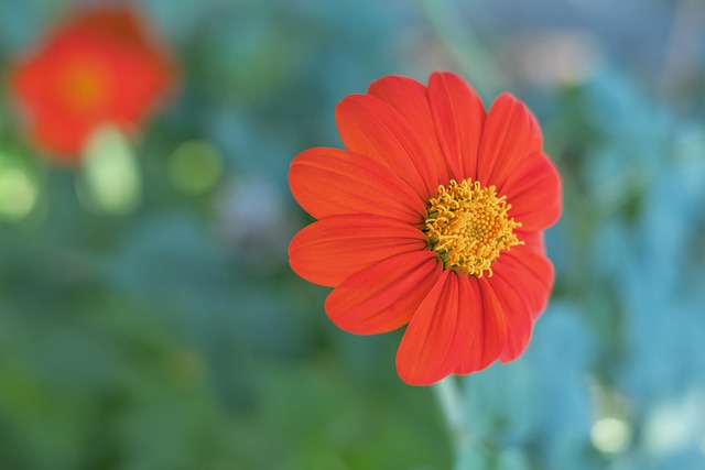 员不仅能有 员不仅能有