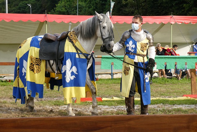 赛季报销 赛季报销