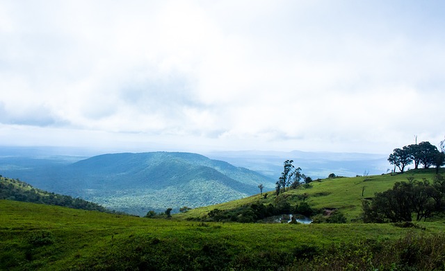 至深的故事 至深的故事