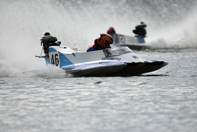 新生代队伍 新生代队伍